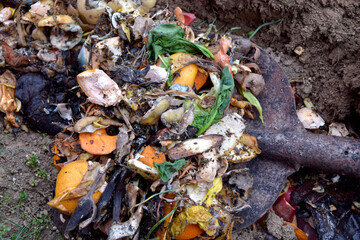 Composting of kitchen waste. Burying fruit, vegetables peels and egg shells in the soil in the garden. Separation and reduction of household waste. Organic food leftovers