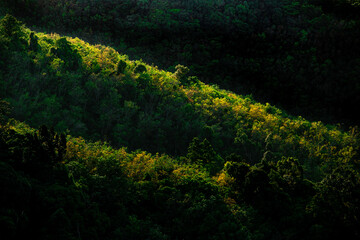 On top of the light of the autumn leaves