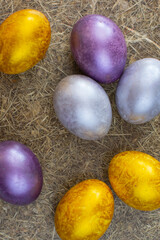 multicolored easter eggs on a combined flat isolated background
