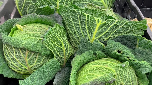 savoy cabbage fruit counter in the market healthy meal food diet snack on the table copy space food background rustic top view keto or paleo diet veggie vegan or vegetarian food