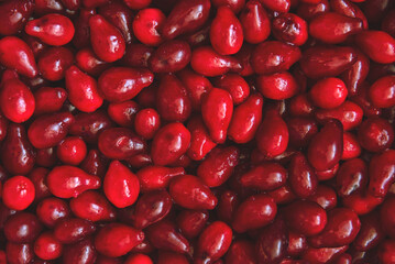 background of bright red dogwood berries. bright delicious background for advertising and attracting attention. natural vitamins and gifts of nature for health and vital energy. soft selective focus