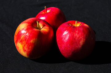 set of Idared apples, on a black background.