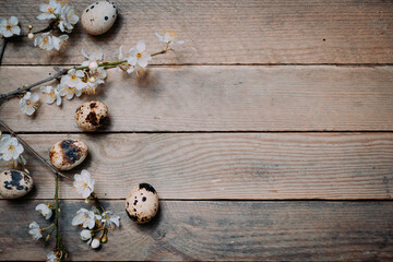 Easter quail with flower branch on old wooden background copyspace