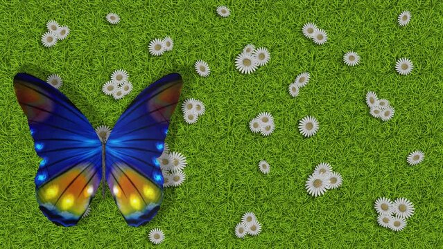 Filmato. Illustrazione 3D. Primavera, estate. Fiori e farfalle su prato verde texture. Sfondo campo di erba con fiori colorati e farfalle..