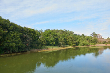 A river with vegetation along its banks under a cloudy sky