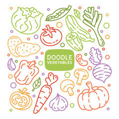 A set of doodle elements vegetableswith leaves. Diet, healthy food, vegetarianism, vegan. Restaurant menu.