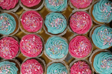 colorful cupcakes with decorations