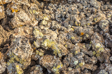 soil of volcanic ash with moss and sulfur