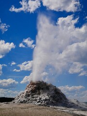 Fototapeta na wymiar Eruption of White Dome Geyser in Yellowstone National Park, Wyoming, USA.