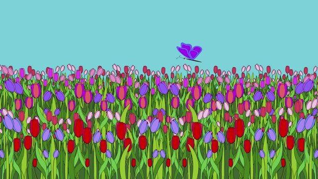 purple butterfly flies over a field with colorful tulips - animated cartoon