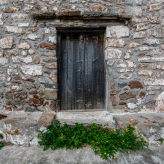 Fototapeta na wymiar A natural dark wood door of an old stone house with yellow flowers, Pachia Rahi village, Aegina island, Greece