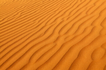 Fototapeta na wymiar Sand ripples in the desert