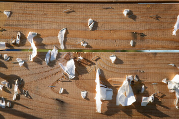 Pattern Surface Natural Art Abstract