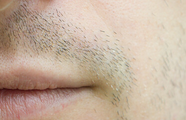 facial hair extreme close-up