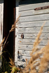 Wooden door