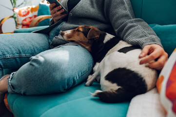Woman using smartphone while her dog is lying on her leg at home