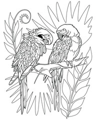 Macaw parrots on branch. Coloring book. Vector illustration isolated on white background.
