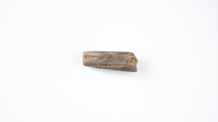 Belemnites fossil on white isolated background
