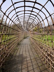 greenhouse with plants