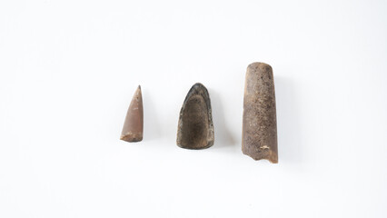 Belemnites fossil on white isolated background