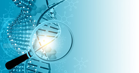 DNA structure, DNA strands with magnifying glass. 3d illustration.