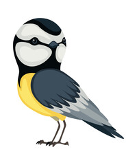 Tit bird in standing position. Titmouse in cartoon flat style beautiful character. Vector illustration isolated on white background