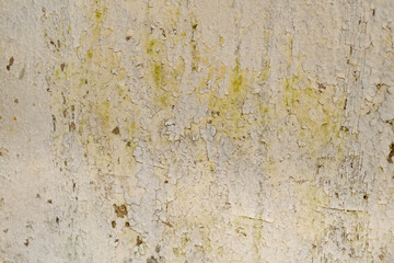 Fototapeta premium Texture background concept, old white brick wall.