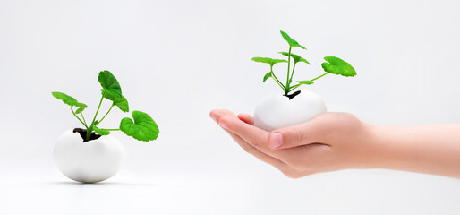 a plant growing in an egg shell, we care for the environment, a plant that grows in an egg in the palm of a young person