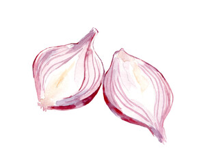 Watercolor illustration Red onion on a white background. Vegetables.