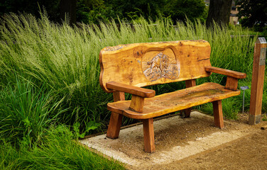 wooden chair in the garden