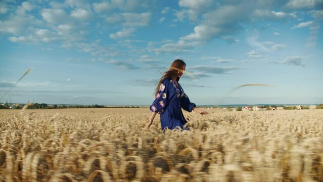 Beautiful woman in an embroidered blue dress runs across a wheat field