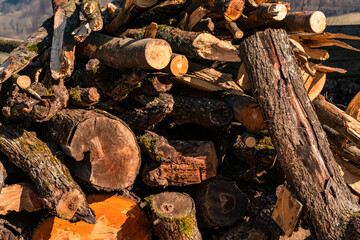 Dicke und dünne Baumstämme stapeln sich am Wegesrand zu einem Haufen Holz