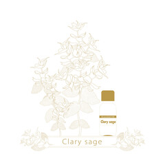 クラリセージの線画・精油の瓶・クラリセージ・線画