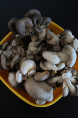 De belles pleurotes au menu