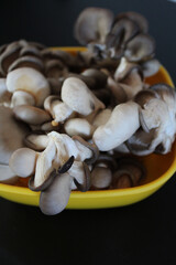 De belles pleurotes au menu