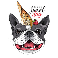 Portrait of the funny smiling Boston Terrier dog with Ice Cream. Have a sweet day - lettering quote. Humor card, t-shirt composition, hand drawn style print. Vector illustration. - 496464719