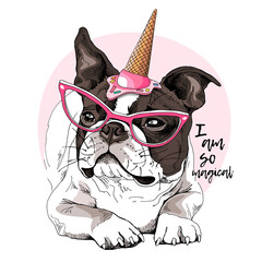 Portrait of the chilling funny Boston Terrier dog in the pink glasses and in a Ice cream party hat. Humor card, t-shirt composition, hand drawn style print. Vector illustration.