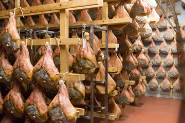 Storage of prosciutto in a ham factory in Bologna, Italy