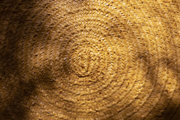 Abstract work, palm fronds, light and shadow