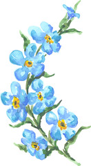 Decorative Watercolor Floral Element