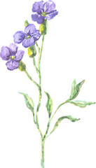 Fototapeta na wymiar Decorative Watercolor Floral Element