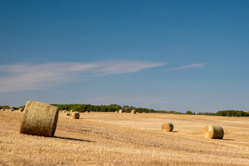 Fototapeta na wymiar Newly harvested fields in the rural municipality of MacNutt, Saskatchewan, September 16, 2020.