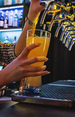 bartender woman hand at beer tap pouring a draught beer in glass serving in a restaurant or pub