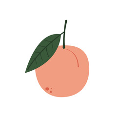 Peach vector. Peach on white background. Peach logo and icon design.	