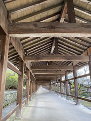 Fototapeta na wymiar 神社の長い回廊