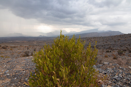 view from Jabel Hatt with clouds
