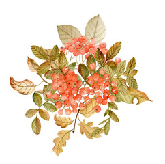 Vintage bouquet with rowan berries. Watercolor autumn aesthetic - 496471337