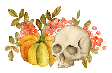 Vintage composition with pumpkin, skull and rowan berries  - 496471345