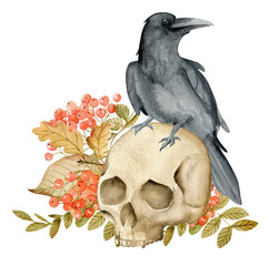 Vintage composition with raven, skull and rowan berries  - 496471347