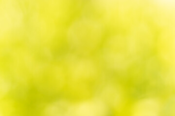 Blurred nature, abstract bokeh background.Green color for the background.